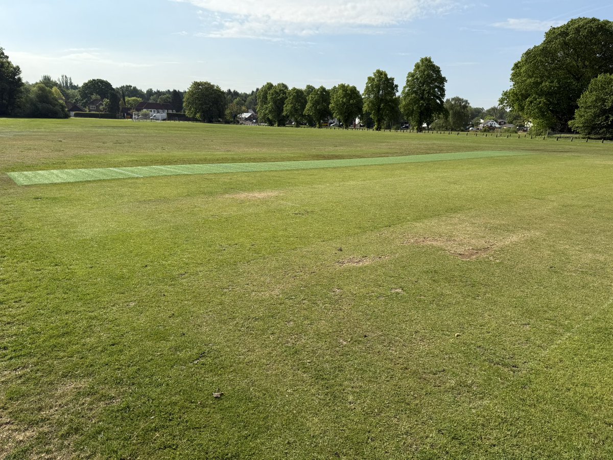 Pirbright Cricket Club tweet media