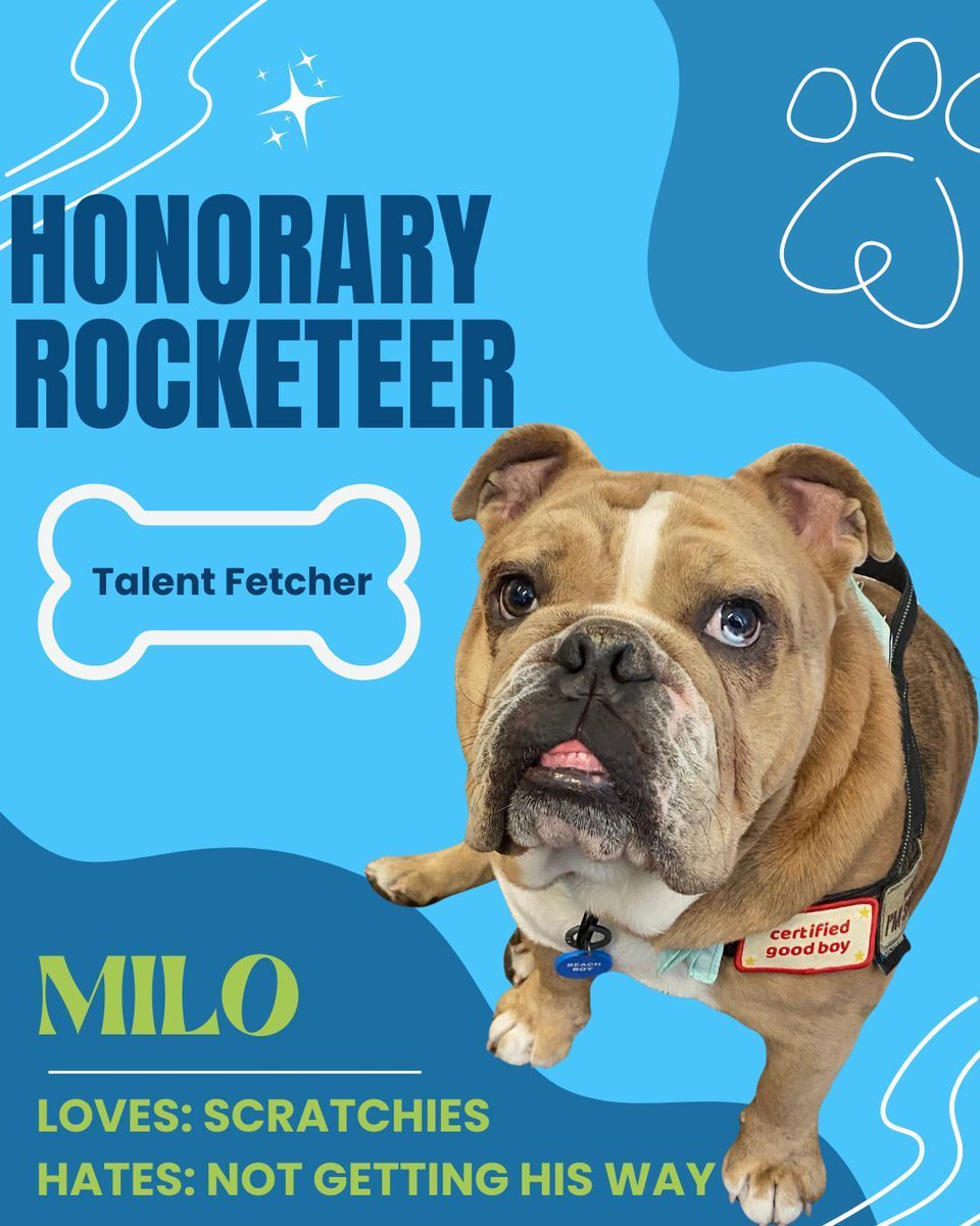 Today’s new hire is paws-itively boosting morale and team engagement—truly a leader in pup-lic relations."🐶📈  #milo #bulldog #launchthat #dogsintheoffice