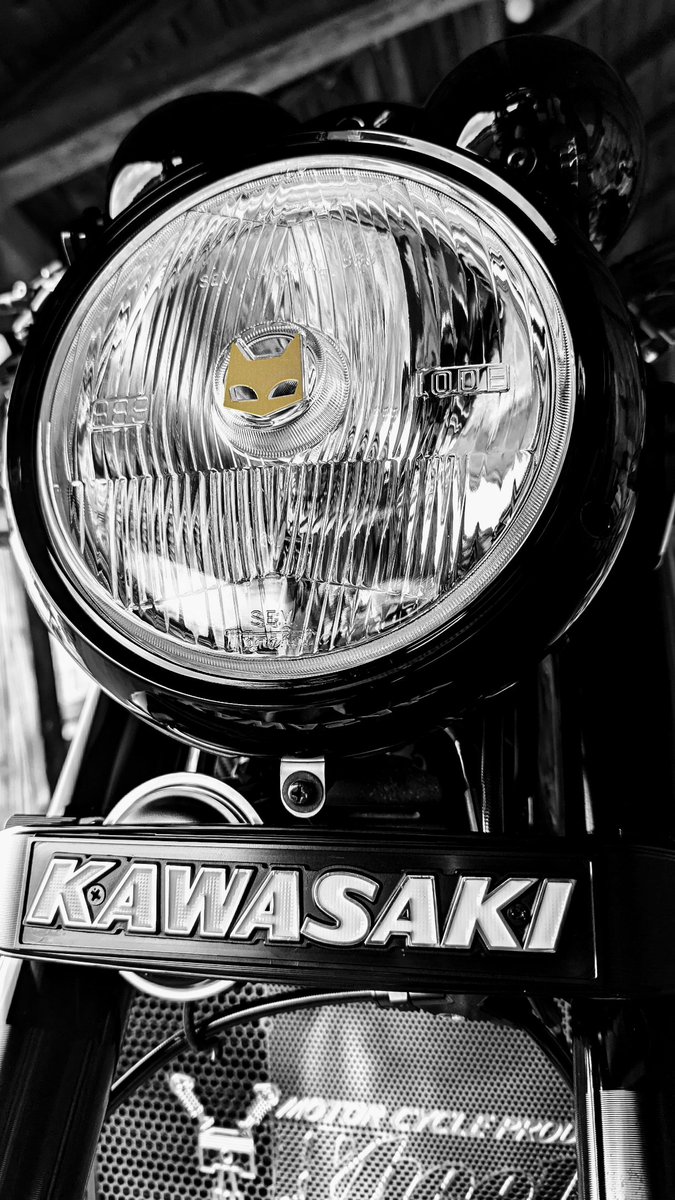 らむち らむち❕ (@withshiratama) / Posts / X