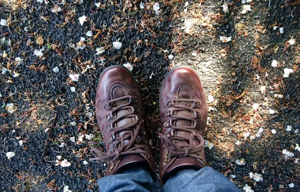 Sharon Stiles (@hypnosharon) on Twitter photo It's #NationalWalkingMonth and in my home city Bristol Walkfest has lots of events to choose from all over the city. If you can't make one of the arranged events then <a href="/gojauntly/">Go Jauntly</a> has some walks on their app you can do at any time .
Events at bristolwalkfest.com It's #NationalWalkingMonth and in my home city Bristol Walkfest has lots of events to choose from all over the city. If you can't make one of the arranged events then <a href="/gojauntly/">Go Jauntly</a> has some walks on their app you can do at any time .
Events at bristolwalkfest.com