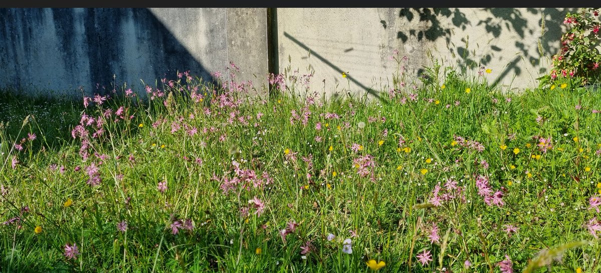 Kerry Biosphere Reserve tweet media