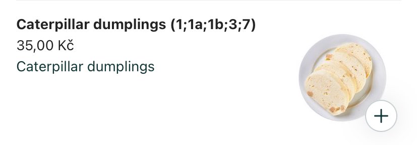 katerina tweet media