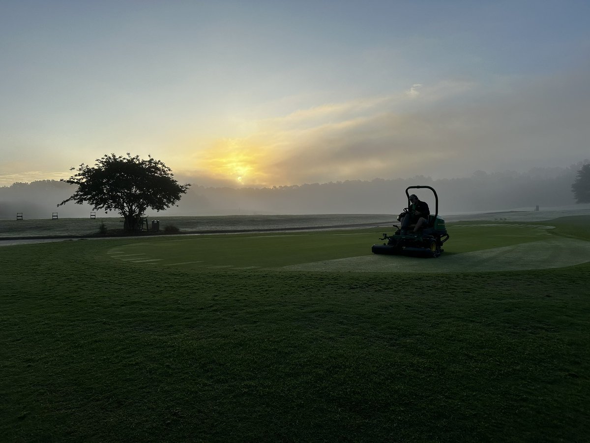 Georgia Riley tweet media