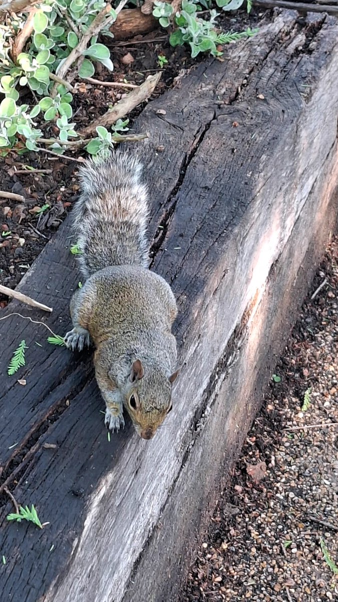 toubuya's tweet image. 10 thousand steps before 10 am. #10b410 #fitness #exercises #movement #morning #tuesdaymotivations #tuesdayvibe #tuesdaymorning