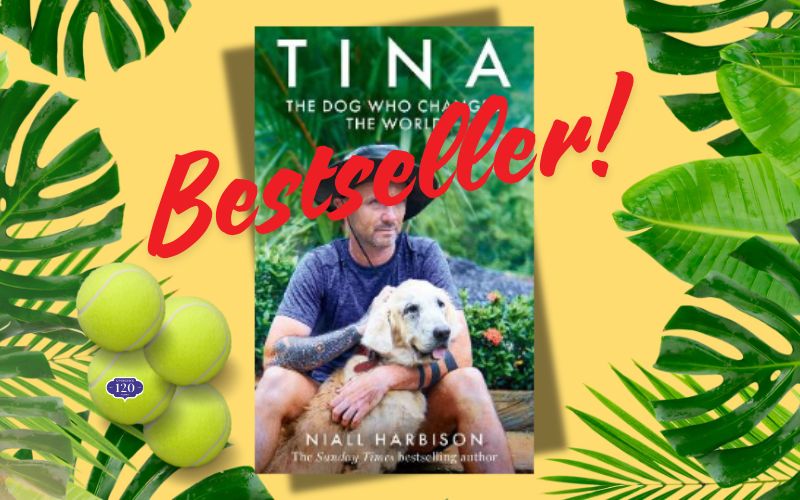 OMahonys Booksellers (@omahonysbooks) on Twitter photo We're delighted to see TINA flying up our Bestseller chart!
Tina, The Dog Who Changed The World by #NiallHarbison is available now!
One special dog, A global movement.🎾
<a href="/wearehappydoggo/">Happy Doggo</a> <a href="/HarperCollins/">HarperCollins</a>
<a href="/NiallHarbison/">Niall Harbison</a> <a href="/HCinIreland/">HarperCollins_Ire</a> We're delighted to see TINA flying up our Bestseller chart!
Tina, The Dog Who Changed The World by #NiallHarbison is available now!
One special dog, A global movement.🎾
<a href="/wearehappydoggo/">Happy Doggo</a> <a href="/HarperCollins/">HarperCollins</a>
<a href="/NiallHarbison/">Niall Harbison</a> <a href="/HCinIreland/">HarperCollins_Ire</a>