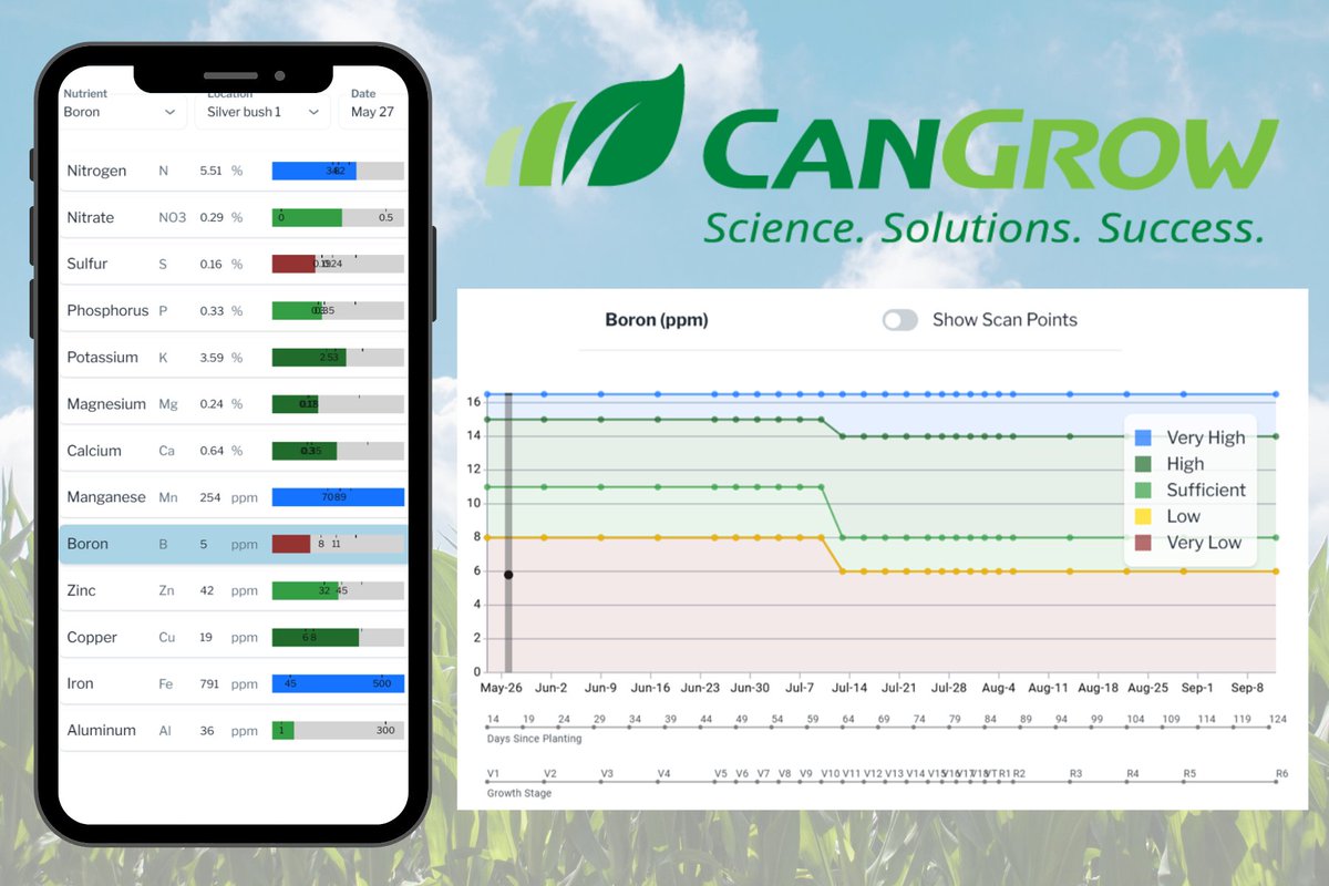 Can Grow Crop Solutions (@cangrowcrop) on Twitter photo The scarcest nutrient resource limits growth and productivity. Tissue analysis with LENS technology provides growers with real-time data to catch nutrient issues early, protect yields, and spend money in the right places.
Contact your CanGrow sales rep or solutions@cangrow.com The scarcest nutrient resource limits growth and productivity. Tissue analysis with LENS technology provides growers with real-time data to catch nutrient issues early, protect yields, and spend money in the right places.
Contact your CanGrow sales rep or solutions@cangrow.com