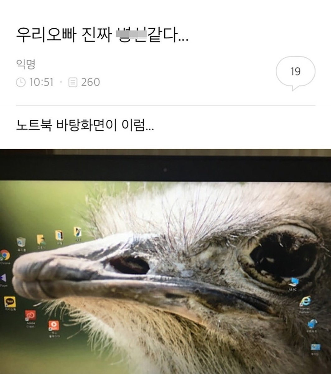 Tweet media one