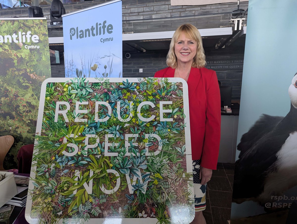 Plantlife Cymru (@plantlifecymru) on Twitter photo <a href="/CThomasMS/">Carolyn Thomas MS / AS</a> <a href="/North_Wales_WT/">North Wales Wildlife Trust</a> <a href="/PFpartnership/">Peat-free Partnership ๐ฆ @peatfree.bsky.social</a> <a href="/WWFCymru/">WWF Cymru ๐</a> <a href="/ERWproject/">EagleReintroductionWales</a> <a href="/savebutterflies/">Butterfly Conservation ๐ฆ</a> <a href="/RSPBCymru/">RSPB Cymru</a> <a href="/hedgehoghelplin/">Hedgehog Helpline</a> <a href="/sizeofwales/">Size of Wales | Maint Cymru</a> <a href="/WalesLink/">Wales Environment Link</a> A huge diolch <a href="/CThomasMS/">Carolyn Thomas MS / AS</a> for the opportunity to take messages on behalf of Wales' plants to the Senedd. <a href="/CThomasMS/">Carolyn Thomas MS / AS</a> <a href="/North_Wales_WT/">North Wales Wildlife Trust</a> <a href="/PFpartnership/">Peat-free Partnership ๐ฆ @peatfree.bsky.social</a> <a href="/WWFCymru/">WWF Cymru ๐</a> <a href="/ERWproject/">EagleReintroductionWales</a> <a href="/savebutterflies/">Butterfly Conservation ๐ฆ</a> <a href="/RSPBCymru/">RSPB Cymru</a> <a href="/hedgehoghelplin/">Hedgehog Helpline</a> <a href="/sizeofwales/">Size of Wales | Maint Cymru</a> <a href="/WalesLink/">Wales Environment Link</a> A huge diolch <a href="/CThomasMS/">Carolyn Thomas MS / AS</a> for the opportunity to take messages on behalf of Wales' plants to the Senedd.