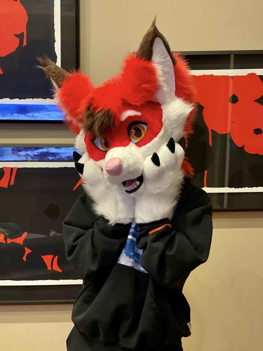 EchoFoxeh's tweet image. Lookin hella cute celebrating my foxday! 🥰🎈

📸: @MisuOtter 
🪡: @PrimalSuits