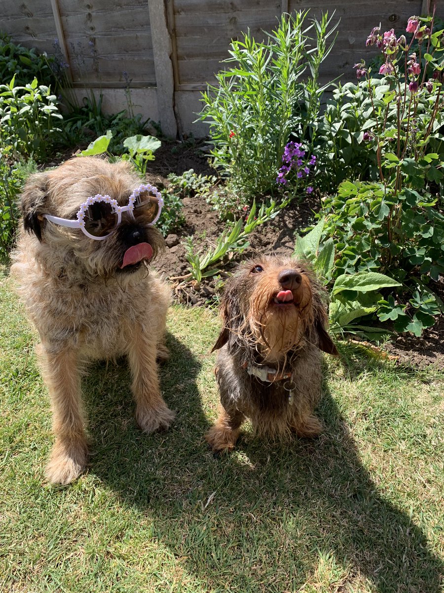 Yehhhh it’s a double #tongueouttuesday 😘#btposse