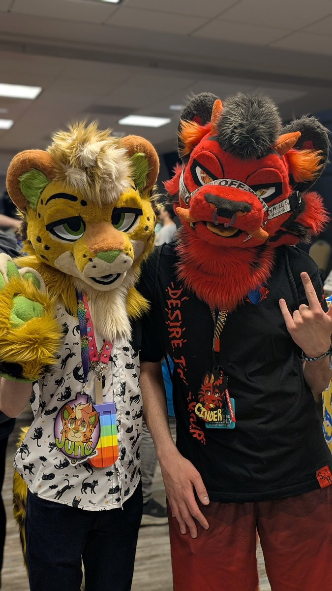 Some photos from this weekend at #FWA2025!