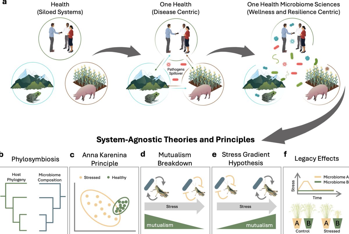 Seth Bordenstein (@symbionticism) on Twitter photo Ginnan, Crandall, <a href="/nokimchen/">Madangchanok Imchen</a>, <a href="/FDiniAndreote/">F Dini-Andreote</a>, Miyashiro, Ganda, and the Center view the One Health microbiome sciences as an expanding framework to unsilo the historical roots of the field and force a conceptual shift to common rules and trends. Ginnan, Crandall, <a href="/nokimchen/">Madangchanok Imchen</a>, <a href="/FDiniAndreote/">F Dini-Andreote</a>, Miyashiro, Ganda, and the Center view the One Health microbiome sciences as an expanding framework to unsilo the historical roots of the field and force a conceptual shift to common rules and trends.