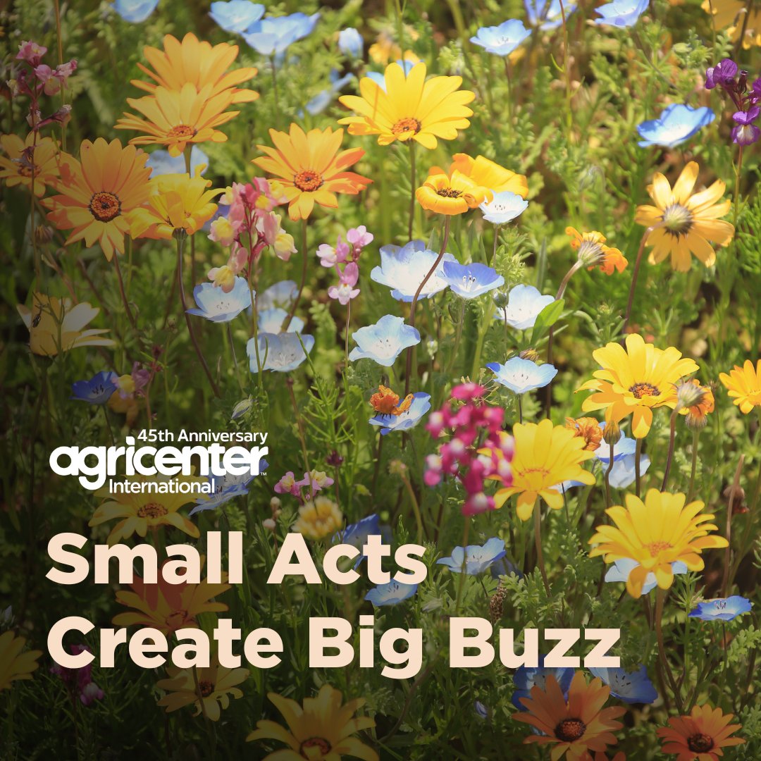 Want to make a difference this season? 🌷🐝 These spring actions will help pollinators flourish:

✔️ Plant native spring flowers
✔️ Provide water sources
✔️ Leave wild spaces

A small effort = big impact for pollinators and our food supply!

#Agricenter #Pollinators #Memphis
