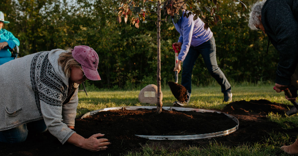 Where hope grows, healing begins. #StonyPlain has been selected by @casp_ca to be home to Canada’s newest Forest of Hope. 

To learn more, read the full news release: ow.ly/SoVx50VRPPO