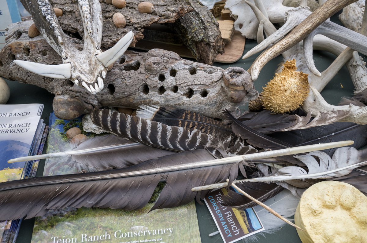 rootbeerphoto's tweet image. Celebrating the #kernriver at the #riverwildfestival  in Bakersfield, CA. #bringbackthekern - jasonfrostphotography.pixieset.com - instagram.com/jasonfrostphot…