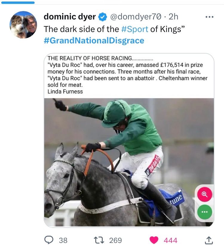 <a href="/AnimalRising/">Animal Rising</a> I used to go racing for decades then realised the amount of bullying involved in that industry and complete lies told to people is both cruel and disgusting.
Truth is 95% of race🐎 die before old age less than 50% make it to middle age and over 10,000 foals are killed as waste