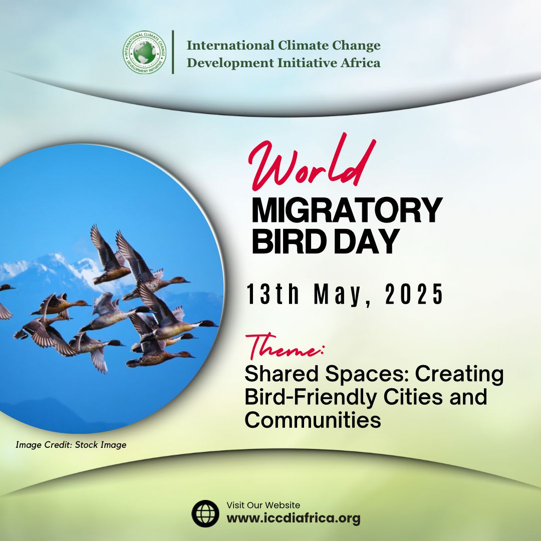 ClimateWed's tweet photo. 🌍 Today is World Migratory Bird Day!
Let’s celebrate by transforming our cities into havens for our feathered friends. From rooftop gardens to bird-friendly parks, every small change counts.
🐦 #MigratoryBirdDay #BirdFriendlyCities #SharedSpaces https://t.co/uc1hsrTabb