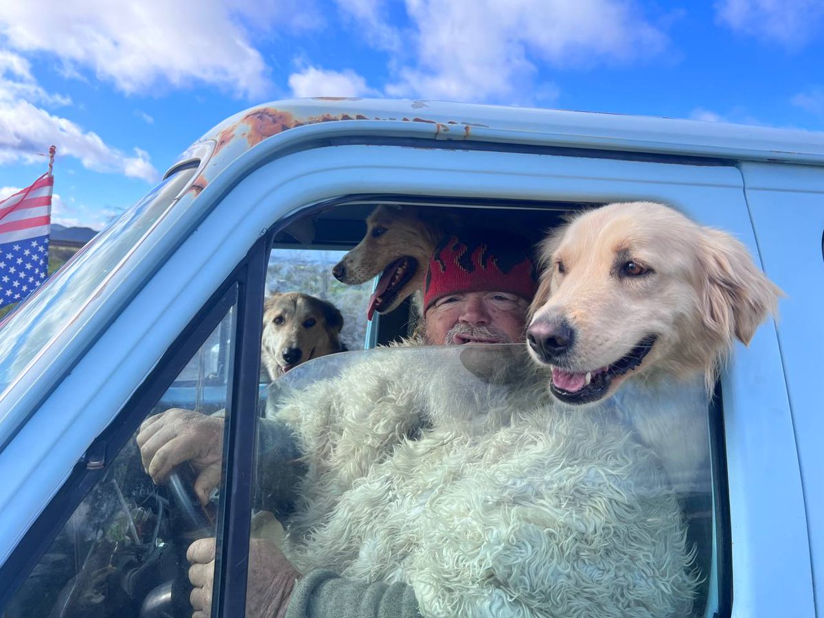 Coyotes_Saucers's tweet image. 🌬️ Cold and windy out here in the desert — time to cuddle up in a good ol’ dogpile to ride out the chill! 🐾🔥 Nothing beats a warm truck and furry friends when the wind starts howlin’ 🐕🚐 #VortexVibes #DesertLife #WindyDayVibes #JacumbaHotSprings #CoyotesFlyingSaucers