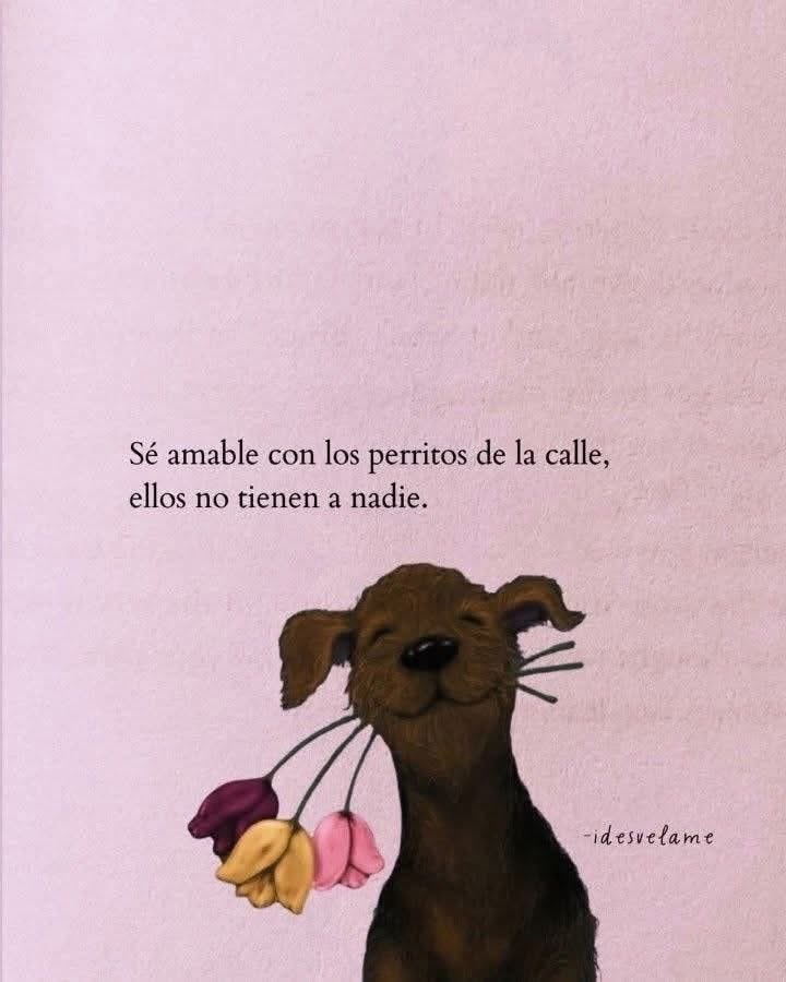 Mayú Guillén 🇲🇽🇺🇦 tweet media