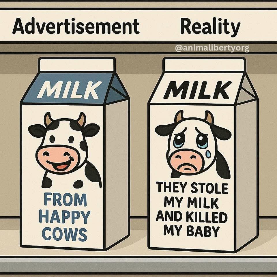 Shocking truth😢