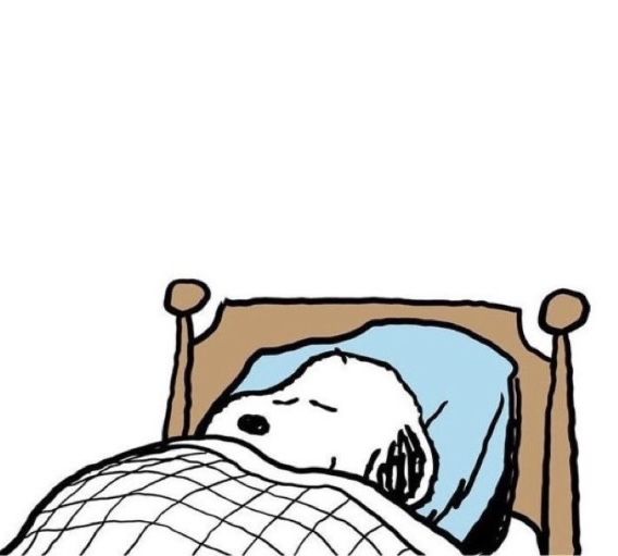 snoobinz's tweet image. 