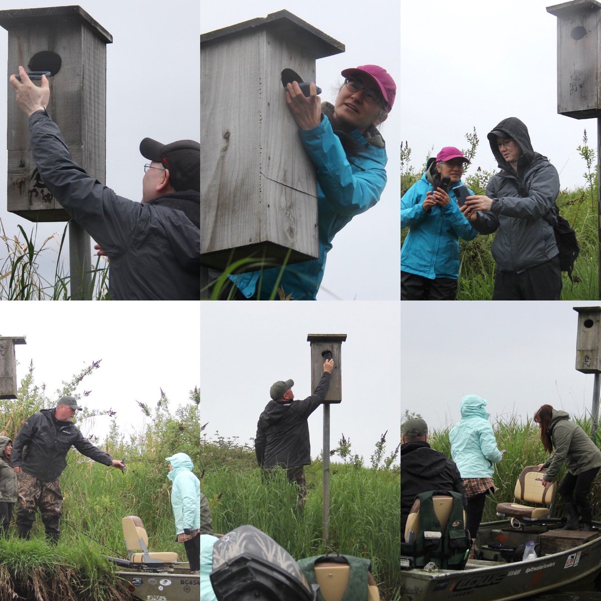 Pittwaterfowler's tweet image. Saturday we had some of the City workers out to see the project they see on the permits they process. An excellent way to network and have a hands on connection. To say they were impressed is an understatement!#pittwaterfowlers #woodducks #nestingboxes #conservation