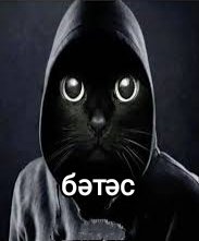 bashkortmem's tweet image. 