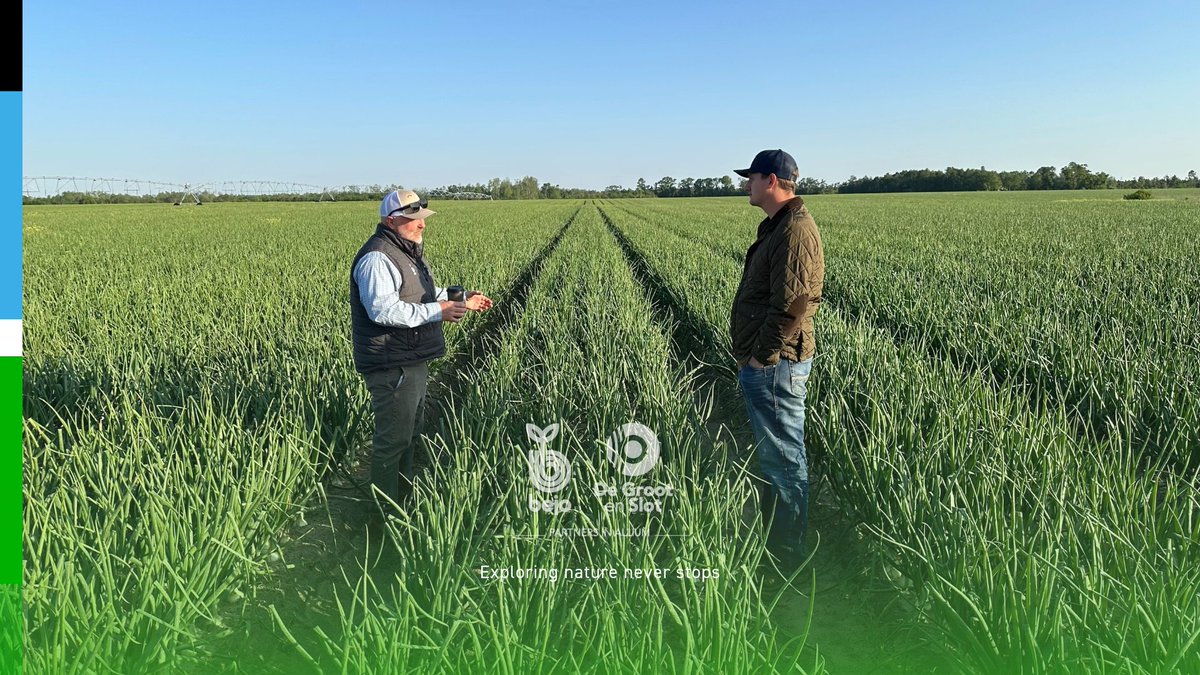 Bejo USA tweet media