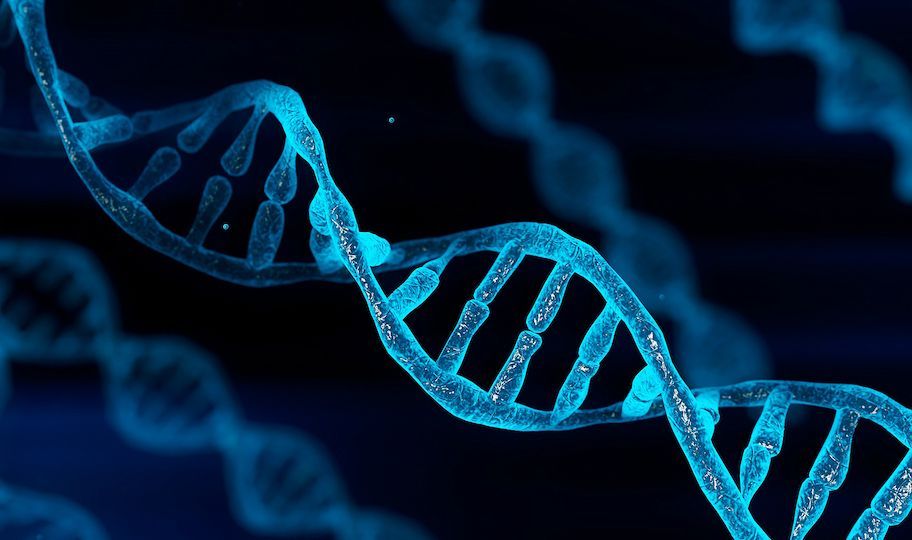 In an exciting new project supported by <a href="/lifearc1/">LifeArc</a> via our Translation Award Programme, Dr Nathan Skene aims to study gene regulation on a broad scale in Alzheimer’s, to understand how risk genes impact disease development and progression👏

Find out more👉buff.ly/dqnuNTp