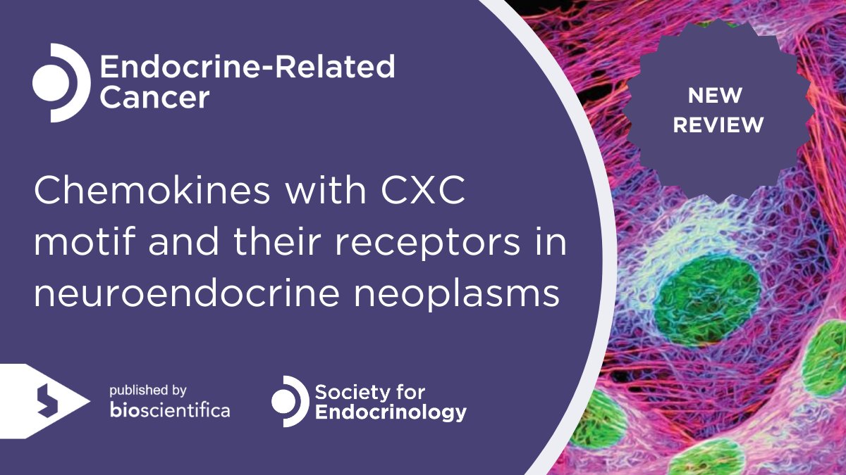 Immune evasion in neuroendocrine neoplasms: what part do CXC chemokines play?
This comprehensive review by Karolina Merecz <a href="/umedlodz/">UMED Lodz (Uniwersytet Medyczny w Łodzi)</a> et al. unpacks the emerging evidence.

🔗Subscribers of Endocrine-Related Cancer can read the full article here: doi.org/10.1530/ERC-24…