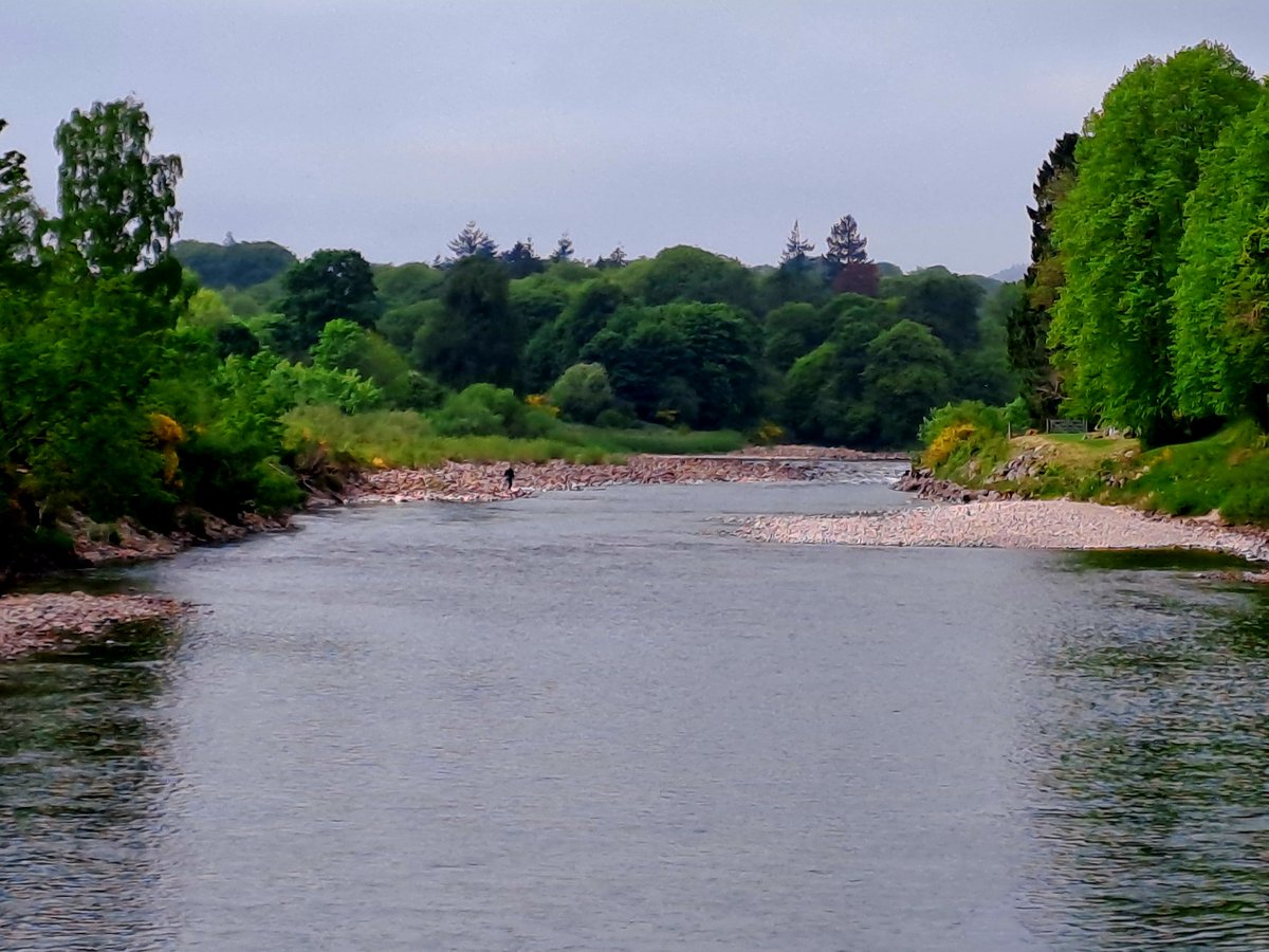 The river level is very low, but it hasn't stopped one least one fisherman from trying. #scotland #royaldeeside #river #riverdee #fisherman #fishinglife