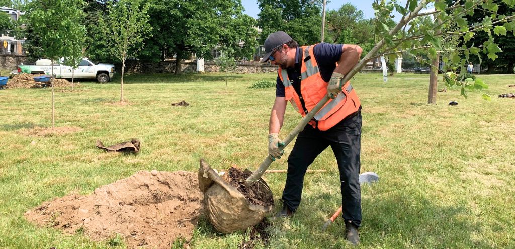 Washington Gardener (@wdcgardener) on Twitter photo Arborist Rob Shaut of <a href="/CaseyTrees/">Casey Trees</a> Talks Urban Tree Selection with the #GardenDC Podcast caseytrees.org/2025/05/talkin… #treesmatter #urbantrees #citytrees #tree #treepodcast Arborist Rob Shaut of <a href="/CaseyTrees/">Casey Trees</a> Talks Urban Tree Selection with the #GardenDC Podcast caseytrees.org/2025/05/talkin… #treesmatter #urbantrees #citytrees #tree #treepodcast