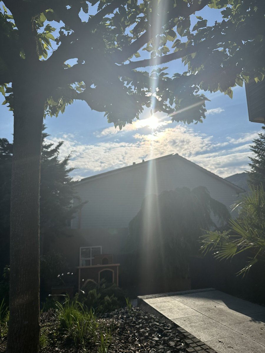 ☀️