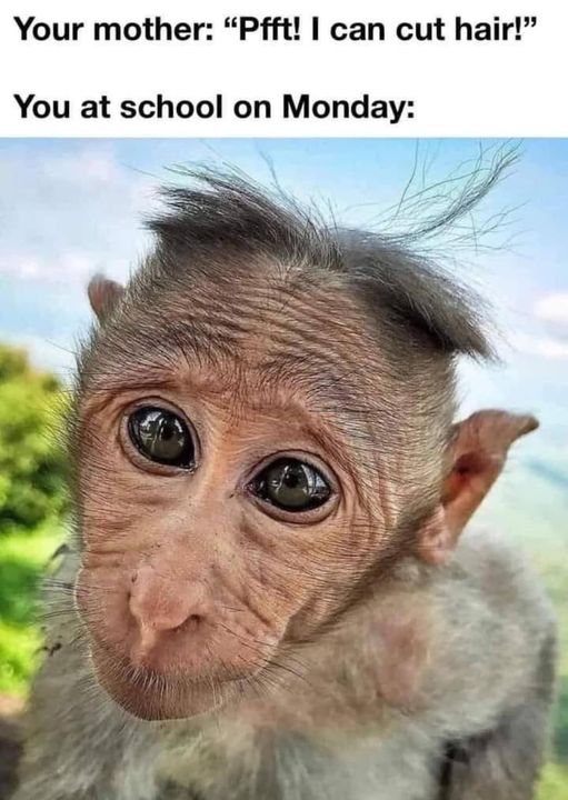 WildernessAlgo's tweet image. 