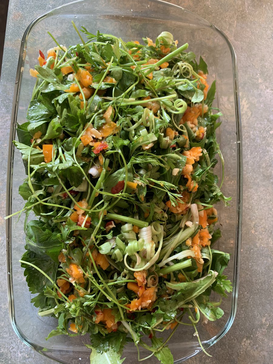 Dandelions + parsley + celery = nice 😊