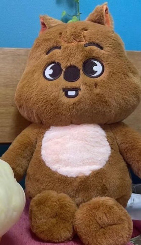 🆕 | Preview of SKZOO TEDDY BEAR Preview of how fluffy and size
