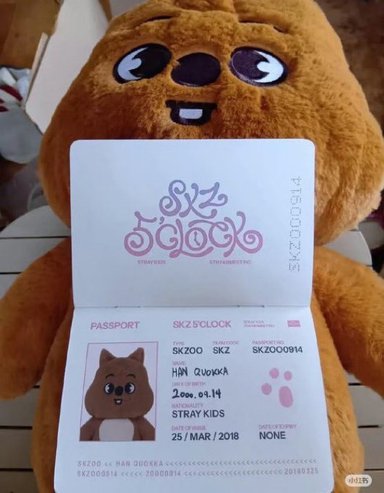🆕 | Preview of SKZOO TEDDY BEAR Preview of how fluffy and size