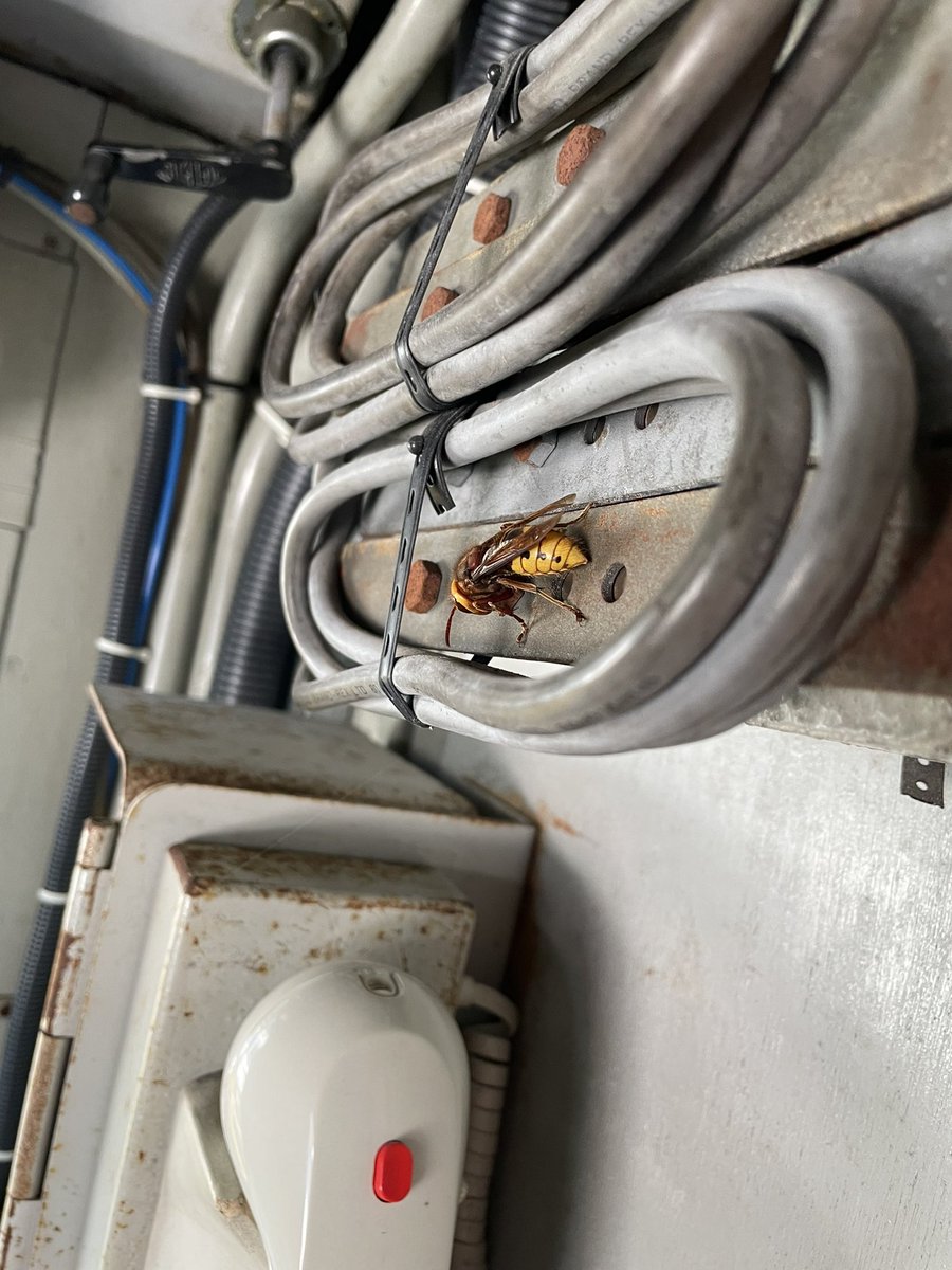 Peter Spokes tweet media