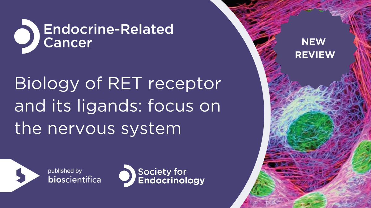 This latest review by Arun Kumar Mahato and Mart Saarma <a href="/helsinkiuni/">University of Helsinki</a> looks into the critical role of RET receptor signaling in the nervous system, development, and disease.
🔗Subscribers of Endocrine-Related Cancer can access the full article here:  doi.org/10.1530/ERC-24…