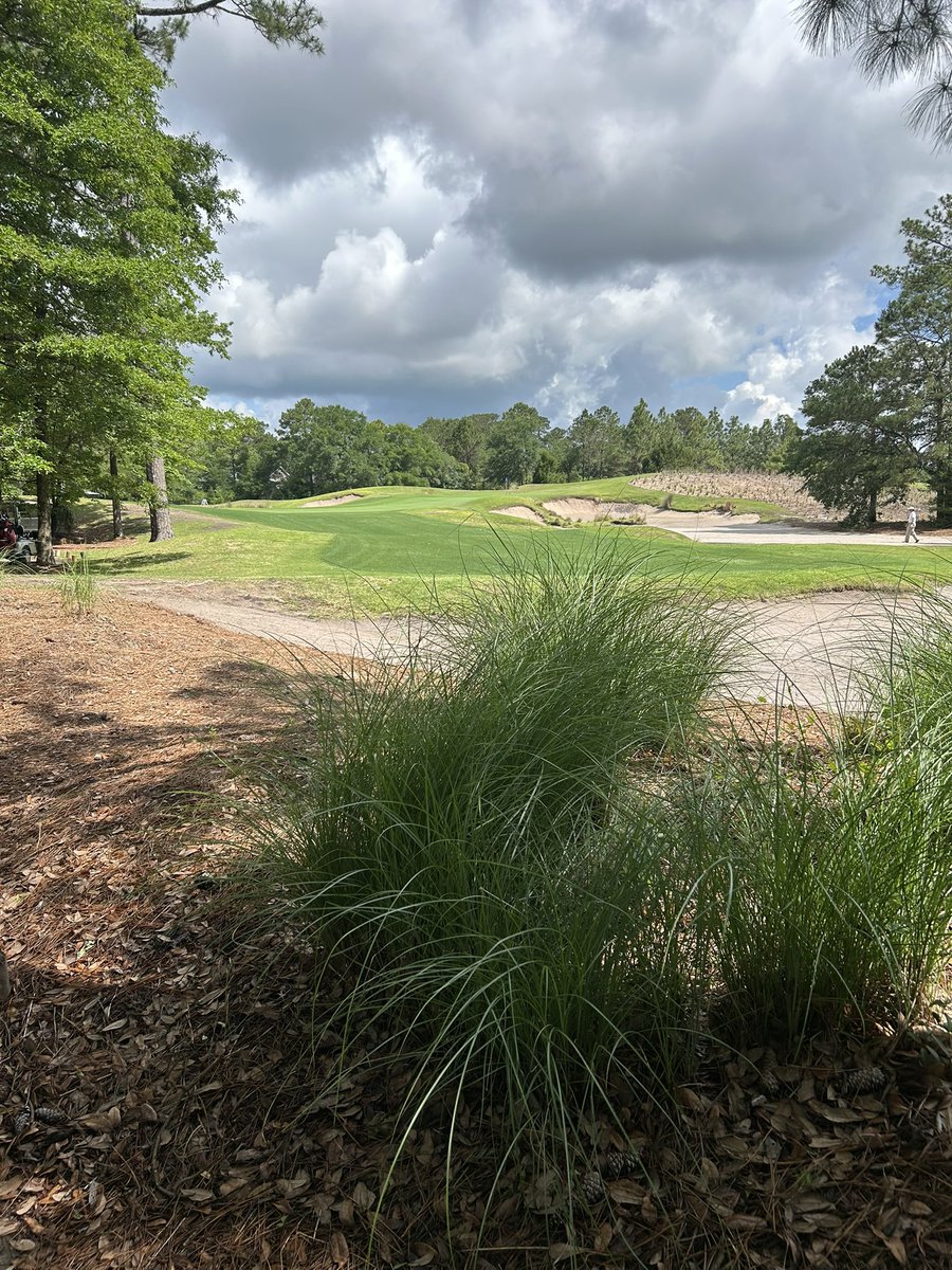 TrueBlueGolf's tweet image. The Par 3 7th 😎 
Mike Strantz Design #myrtlebeachgolflive #mikestrantz #mikestrantzdesign @PlayGolfMB @MBTrips @GolfCrusade