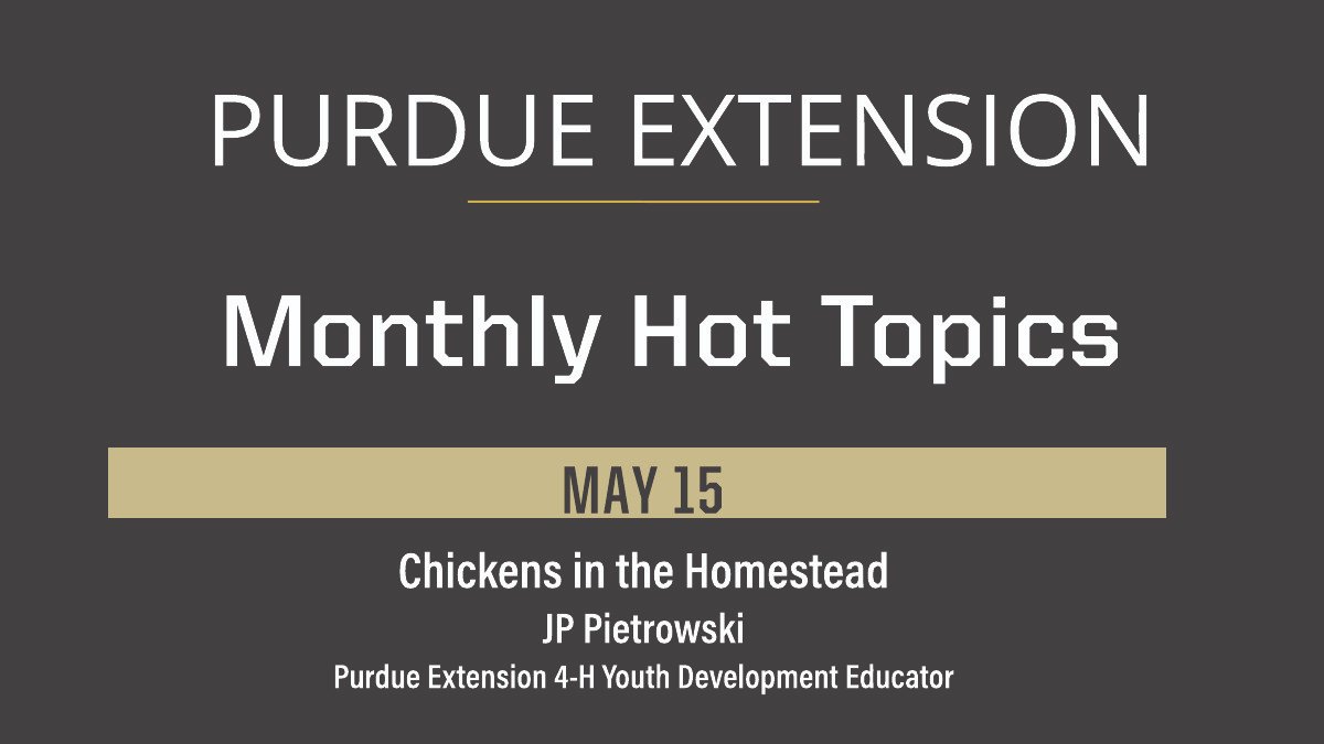 Purdue Extension (@purdueextension) on Twitter photo Don't miss the next Monthly Hot Topic on May 15. #PurdueExtension <a href="/Indiana4h/">Indiana 4-H</a> youth development educator, JP Pietrowski, will talk about chickens in the homestead and what you should know. š It's free, virtual and a great chance to learn something new: puext.in/40YhBwS Don't miss the next Monthly Hot Topic on May 15. #PurdueExtension <a href="/Indiana4h/">Indiana 4-H</a> youth development educator, JP Pietrowski, will talk about chickens in the homestead and what you should know. š It's free, virtual and a great chance to learn something new: puext.in/40YhBwS