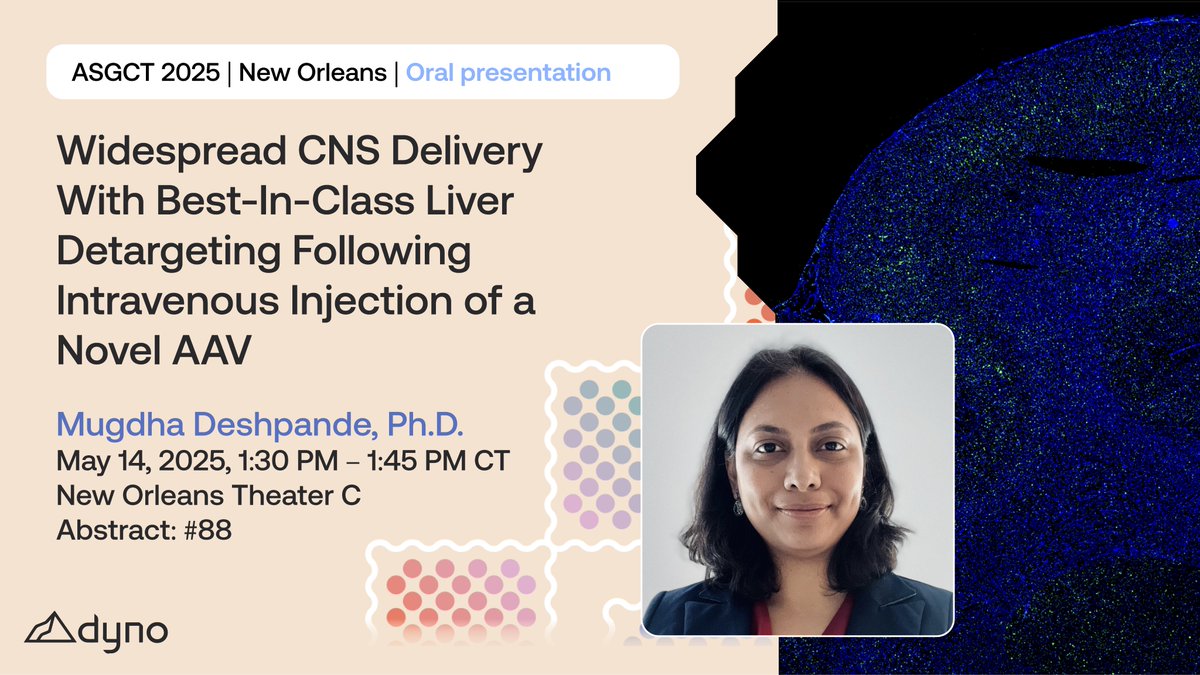 Dyno_Tx's tweet image. Join us tomorrow at #ASGCT25 for a presentation on the data behind Dyno’s newest CNS vector: an AI-designed AAV capsid optimized for widespread IV delivery to the brain, with exceptional liver detargeting and a highly conserved mechanism for blood-brain barrier crossing.…