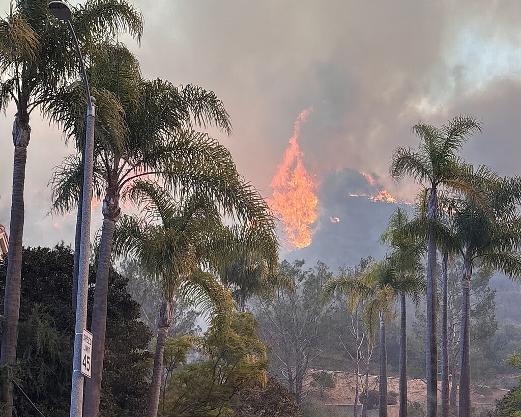 What LA’s experience with wildfires, public water systems means for Denver Water, and more TAP headlines this week. bit.ly/4meGSwp