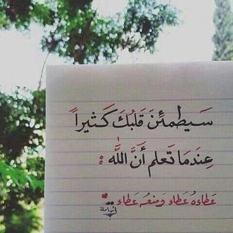 ❤ آلُِملُِڪهـ دِآنه ـ 2 (@0bm_sl) on Twitter photo هلْ جاءَ رِزقُكَ ثُـمَّ حاربَك الـورَى
ورأيــتَ منهُـــم كُلُّـهــم تَحْبيطــا!
لنْ يَمنعُوكَ جَميعُهـم لـو أجَمعُـوا
قطْـرًا .. ولو كانَ العطاءُ مُحيطا!
طَمئنْ فُؤادكَ .. كُلُّ شيءٍ قسمةٌ
مِـنْ ربِّنــا .. لـو إبـرةً ومَـخِيطـا!
*🌷أسعد الله مساكم🌷
<a href="/0bm_sl/">❤ آلُِملُِڪهـ دِآنه</a>
<a href="/mmoo_009/">🎼آلُِملُِڪهـ دِآنهـ🎼🇴🇲 </a> هلْ جاءَ رِزقُكَ ثُـمَّ حاربَك الـورَى
ورأيــتَ منهُـــم كُلُّـهــم تَحْبيطــا!
لنْ يَمنعُوكَ جَميعُهـم لـو أجَمعُـوا
قطْـرًا .. ولو كانَ العطاءُ مُحيطا!
طَمئنْ فُؤادكَ .. كُلُّ شيءٍ قسمةٌ
مِـنْ ربِّنــا .. لـو إبـرةً ومَـخِيطـا!
*🌷أسعد الله مساكم🌷
<a href="/0bm_sl/">❤ آلُِملُِڪهـ دِآنه</a>
<a href="/mmoo_009/">🎼آلُِملُِڪهـ دِآنهـ🎼🇴🇲 </a>
