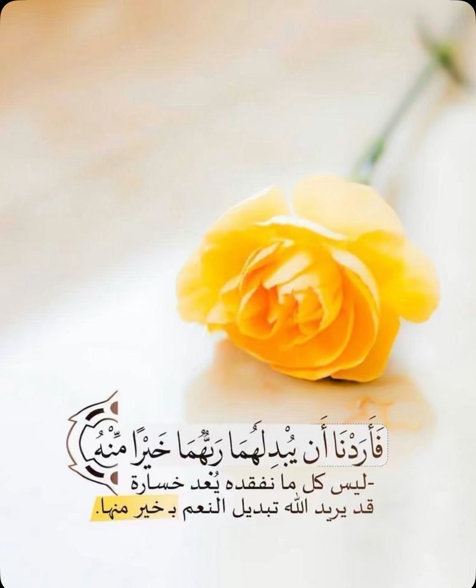 _RO0H's tweet image. 