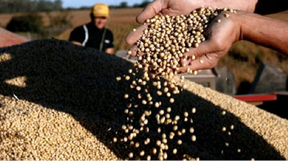 📊La tregua en la guerra comercial y datos de stocks mundiales impulsaron subas de la soja en Chicago
🌱La oleaginosa tuvo una jornada positiva en el mercado internacional, pero se mantuvo sin variaciones en el segmento disponible de Rosario. TN
ℹ️👉 t.ly/iRmbq