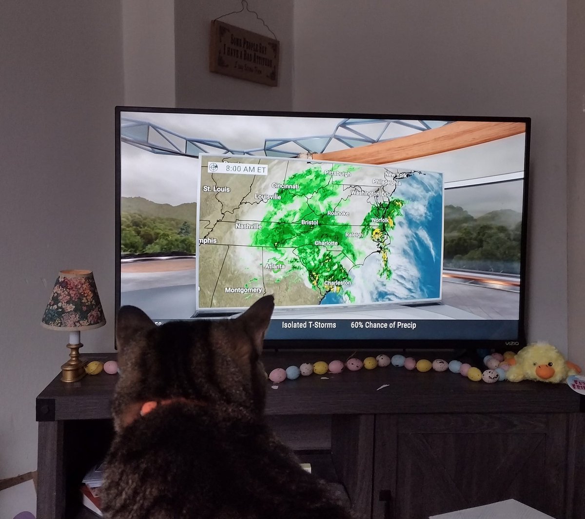 yesterday my sweet cat "Pugly" passed away. he enjoyed watching The Weather Channel with me. he especially like watching the map moving, and  when meteorologists would stand there pointing  at the maps....he always perked up when her heard Jim, Stephanie and Jordan