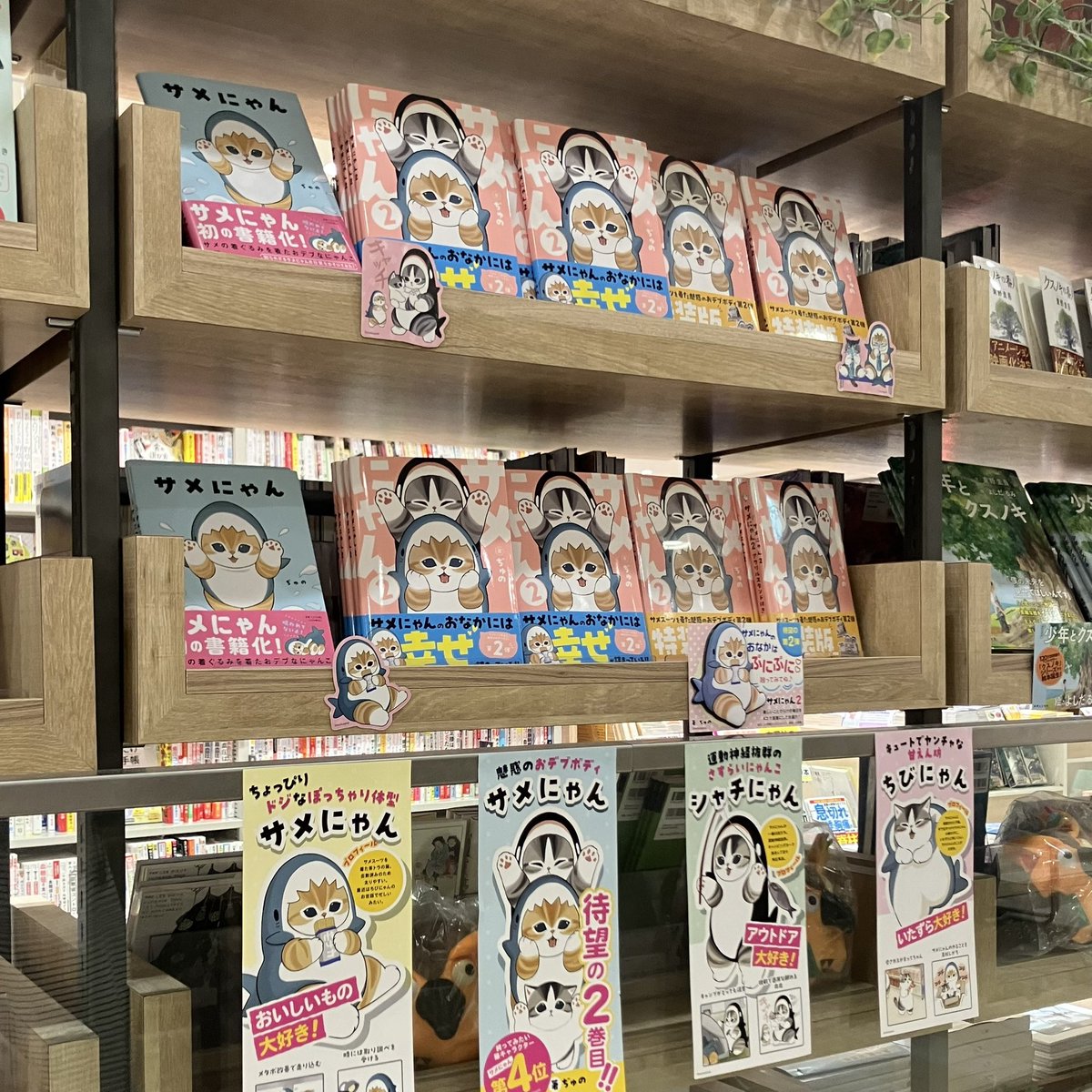 有隣堂 アトレ川崎店にサインを書きにお邪魔しました😻✨ サメにゃん本