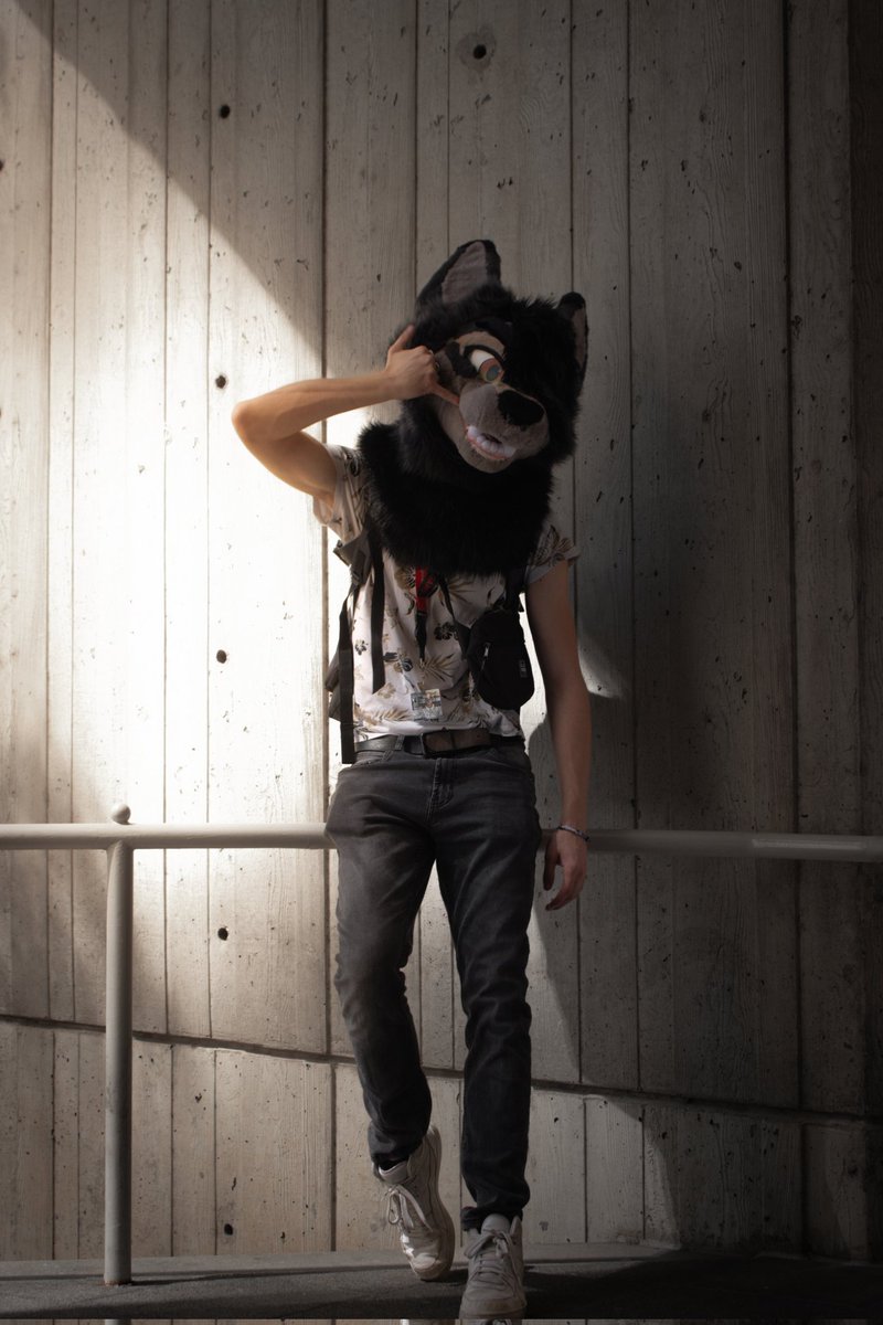 These pearly canines ain't just for show, yknow
📷 <a href="/BellTBull/">Taco Bull 🐂 iFC</a>