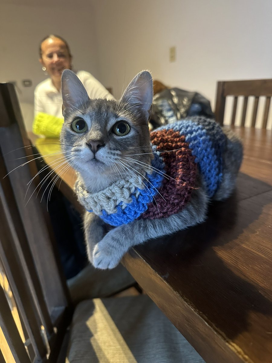 Pov: tu abuela se emociona tejiendo cosas
